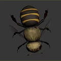 Detailed 3D Rendered Bee Model With Yellow Black Stripes And Transparent Wings