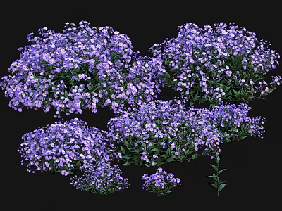Lush Purple Blooming Flowers with Green Leaves in Cluster for Garden 3d model