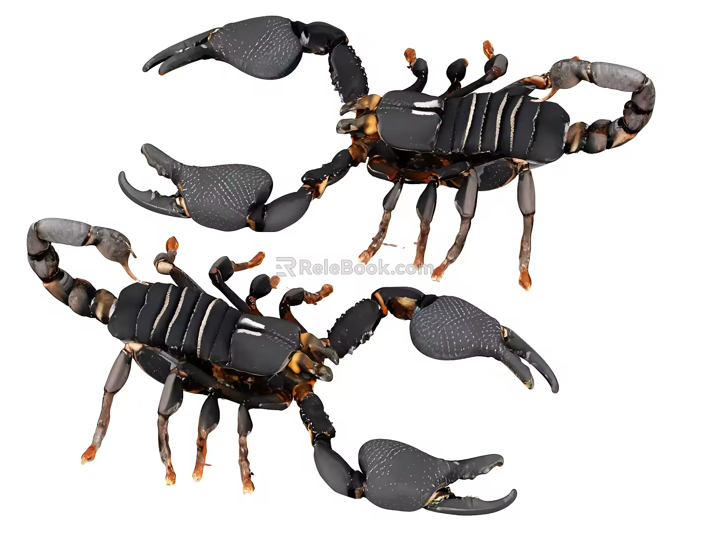 scorpion machine insect mechanical insect armored insect animal reptile poisonous insect 3d model