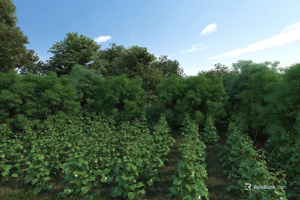 Garden Landscape With Lush Trees Low Shrubs Green Plants Blue Sky And White Clouds 3d model 