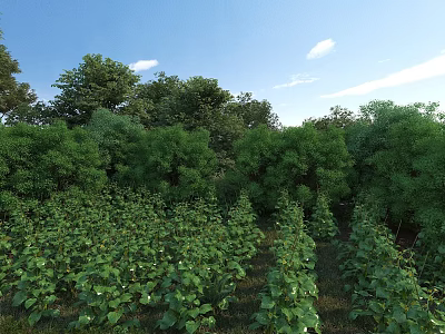 Garden Landscape With Lush Trees Low Shrubs Green Plants Blue Sky And White Clouds 3d model