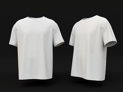 White Short Sleeve T Shirt Front And Back View Plain Casual Clothing 3d model