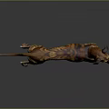 Tiger Striped Greyhound Dog With Long Legs Standing On Gray Background