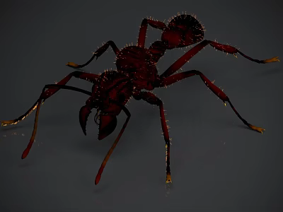 Red Shiny Reptile With Long Legs And Glossy Body On Gray Background 3d model
