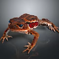 Colorful Reptile With Brown Red Spots Blue Eyes And Rough Skin On Smooth Surface