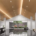 Front Desk Reception Modern Interior Wooden Ceiling Large Window Green View Black Desk Reflective Floor