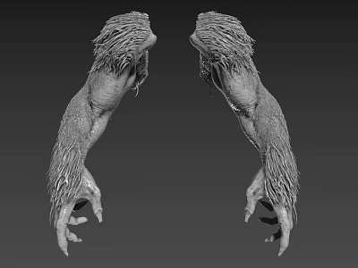 Symmetrical Limbs Of Mythical Creature With Hairy Texture And Muscular Details 3d model