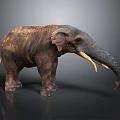 Adult Elephant With Gray Brown Skin And Long White Tusks Standing On Dark Background