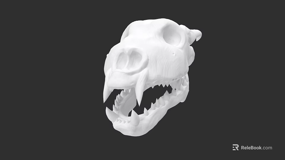 Detailed Reptile Skull 3D Model in White Color Against Black Background 3d model 