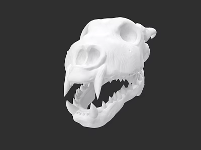 Detailed Reptile Skull 3D Model in White Color Against Black Background 3d model