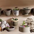 Assorted Decorative Pots With Lotus Flowers Water Small Plants And Stones