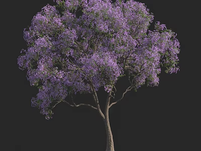 Blooming Flowering Tree with Vibrant Purple Flowers and Lush Foliage 3d model