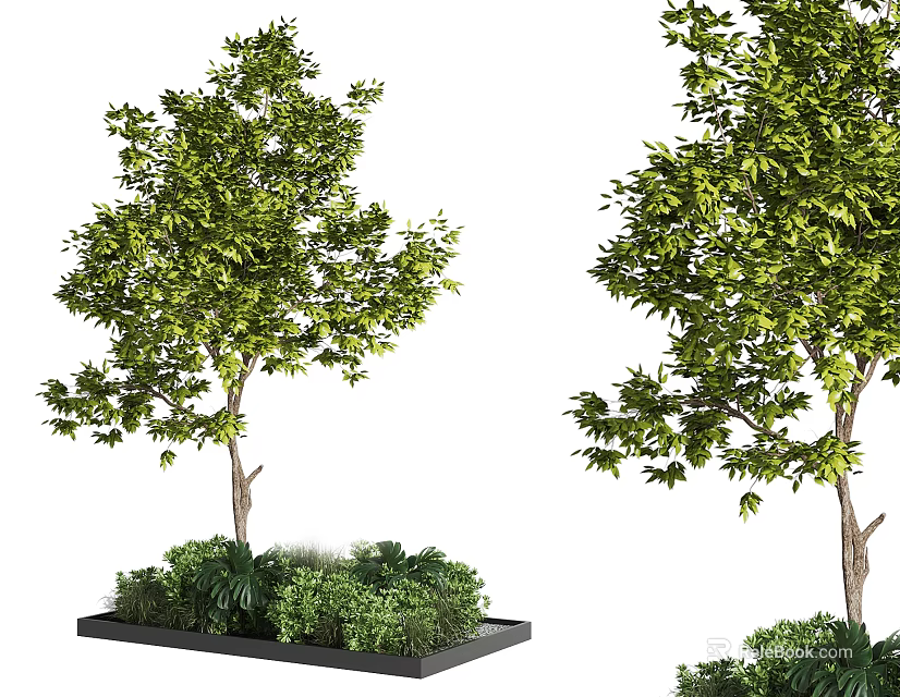 Modern Outdoor Black Square Tree Planter Featuring Green Shrubs And Trees 3d model