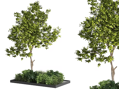 Modern Outdoor Black Square Tree Planter Featuring Green Shrubs And Trees 3d model