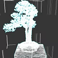 Artistic Bonsai Tree With Curved Trunk Green Foliage Round Pot And Square Base