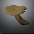 Detailed Anatomical Organ Structure With Visible Hair Follicles And Texture