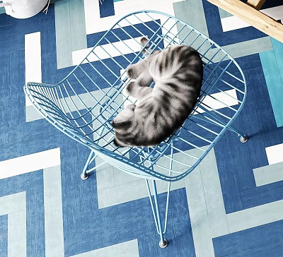 Reptile Resting On Blue Metal Chair With Blue And White Geometric Floor 3d model