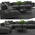 Gray Sectional Sofa With Cushions Throw Blanket Coffee Table And Green Plant Decorative Object 3d model