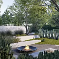 Lush Courtyard Garden With Burning Fire Pit Green Plants Cacti Trees Stone Pathways And Lawn