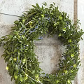Decorative Wreath With Green Leaves Blue Berries And String Lights Hanging On Worn Wooden Wall