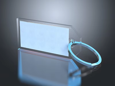 Transparent Acrylic Luggage Tag With Circular Ring And Reflective Shiny Surface 3d model