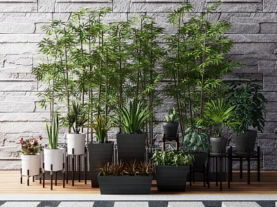 Indoor Potted Green Plants Display With Stone Wall Background And Wooden Floor 3d model