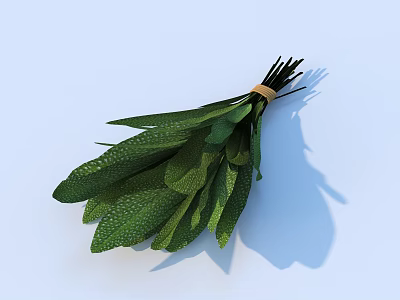 Fresh Organic Green Vegetable Leaves Bunch Tied With Rope On Light Blue Background 3d model