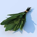 Fresh Organic Green Vegetable Leaves Bunch Tied With Rope On Light Blue Background