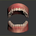 Detailed Game Movie Character Tooth Model With Pink Gums And White Teeth Design