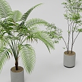 Green plant simple potted plant ornaments 3d model