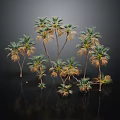 Multiple Palm Trees With Various Heights And Green Fronds Against Dark Background