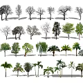 Modern Tree Landscape Trees 3d model