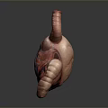 Detailed 3D Model of Human Digestive Organs with Visible Blood Vessels