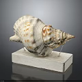 Marine Conch Animal Shell Displayed On White Base With Textured Surface And Natural Patterns 3d model