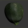 Fresh Green Round Zucchini Vegetable With Striped Skin And Healthy Food Option