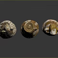 Traditional Terracotta Figurines With Dresses Hats And Earth Toned Details On Black