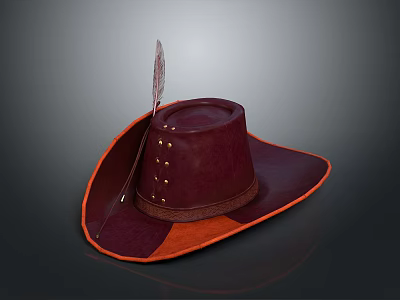 Fashionable Daily Life Hat With Burgundy Leather Orange Trim Feather Decoration And Wide Brim 3d model