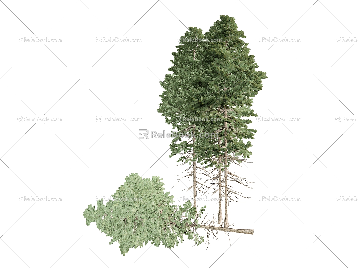 Plants Trees Long Trees Green Plants 3d model