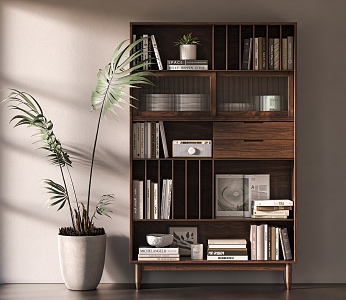 Quiet bookcase combination 3d model