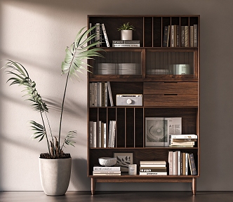 Quiet bookcase combination 3d model