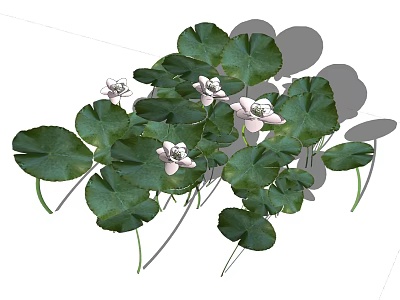 Decorative Vase With Fresh White Flowers And Green Leaves For Home Decoration 3d model