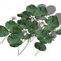 Decorative Vase With Fresh White Flowers And Green Leaves For Home Decoration