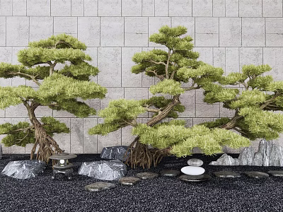 Japanese Garden Courtyard with Bonsai Pines Stone Wall Black Gravel Stones and Small Stone Table 3d model