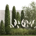 Garden Shrubs With White Feathery Plants Coniferous Trees Green Foliage And Stone Wall