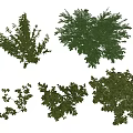 Various Green Leafy Shrubs With Different Shapes And Foliage Types 3d model