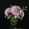 White Pink And Blue Hydrangeas In Glass Vases On Black Tabletop With Green Leaves