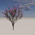 Lush Purple Flowering Shrub with Green Leaves and Brown Branches