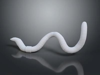 White Striped Worm on Gray Background with Smooth Curved Body and Reflection 3d model