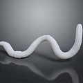 White Striped Worm on Gray Background with Smooth Curved Body and Reflection 3d model