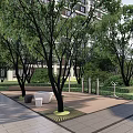 Residential Landscape Design With Shade Trees Paved Area Outdoor Seating And Greenery